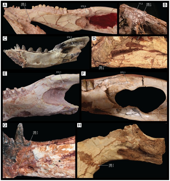 Figure 45