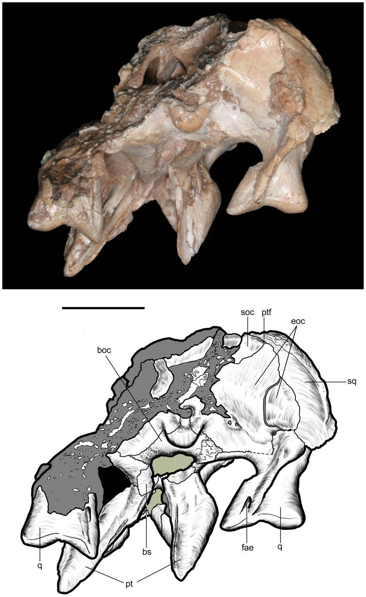 Figure 18