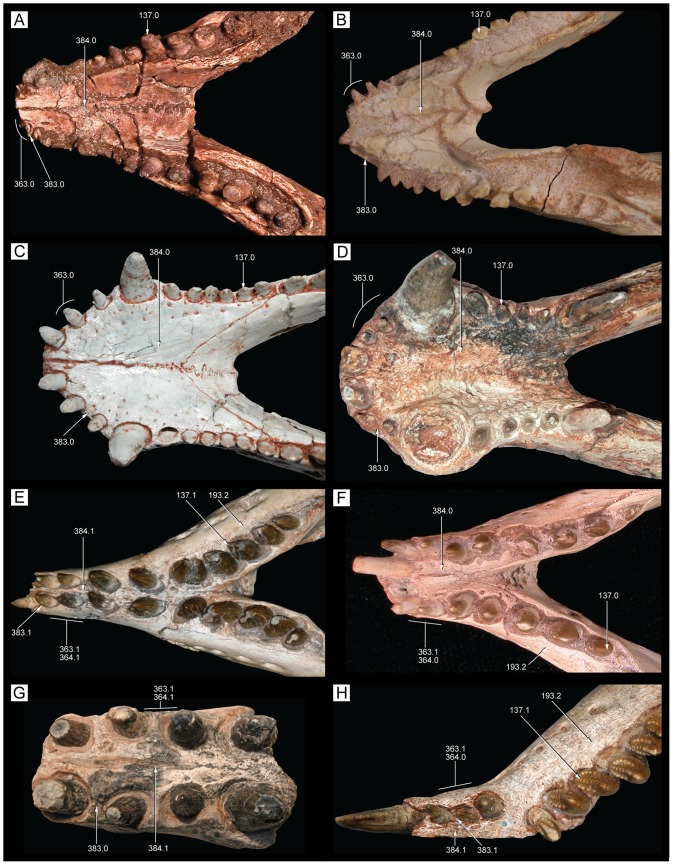 Figure 40