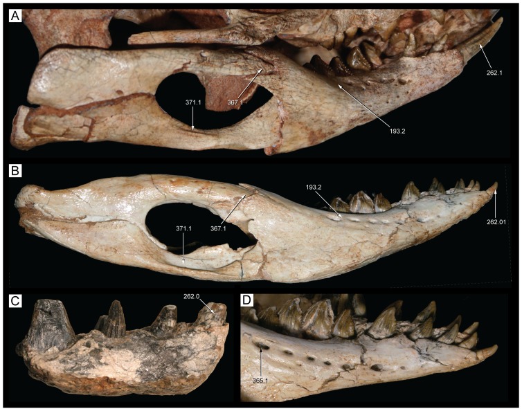 Figure 35