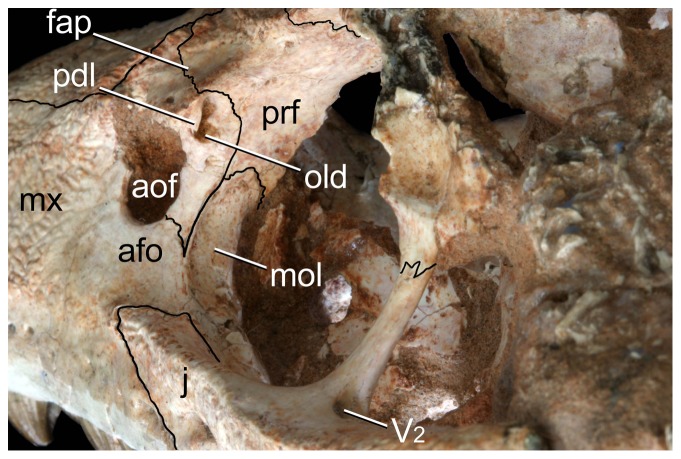 Figure 15