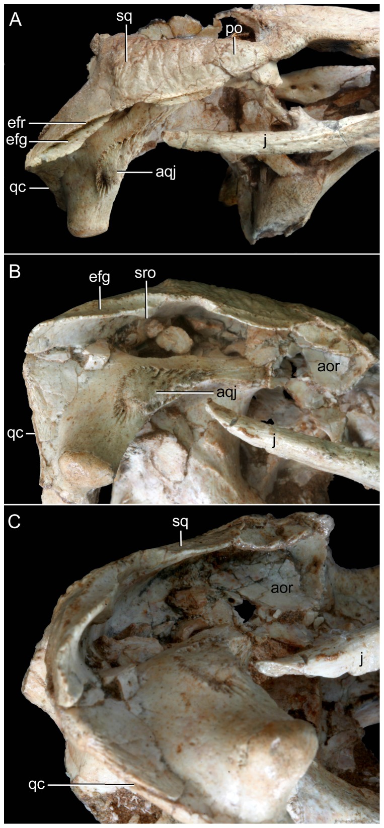 Figure 17