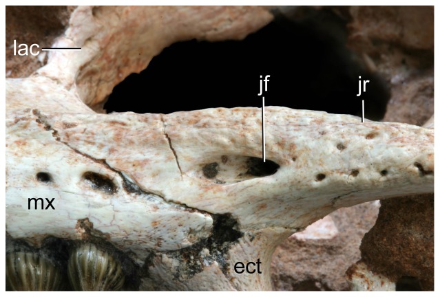 Figure 19