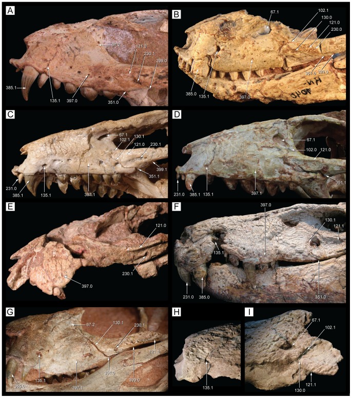 Figure 34