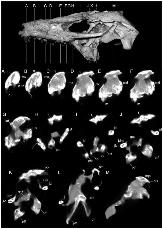 Figure 13