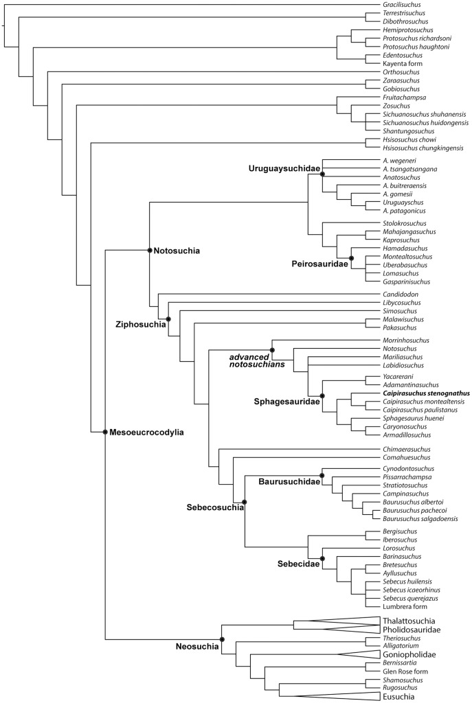 Figure 31