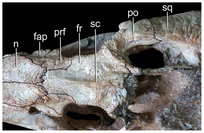 Figure 16