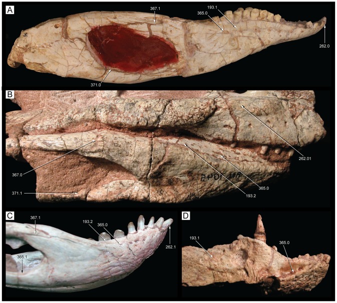 Figure 36