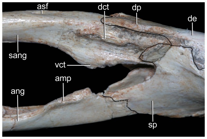 Figure 26