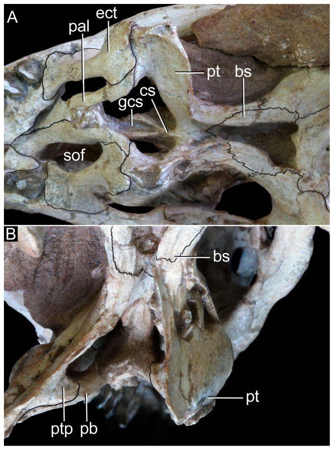 Figure 21