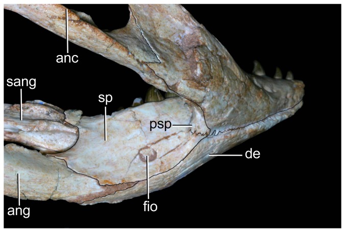 Figure 25