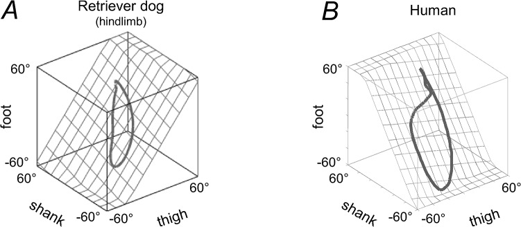 Fig 9