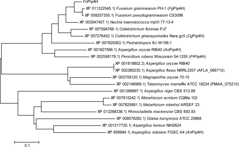 FIG 3