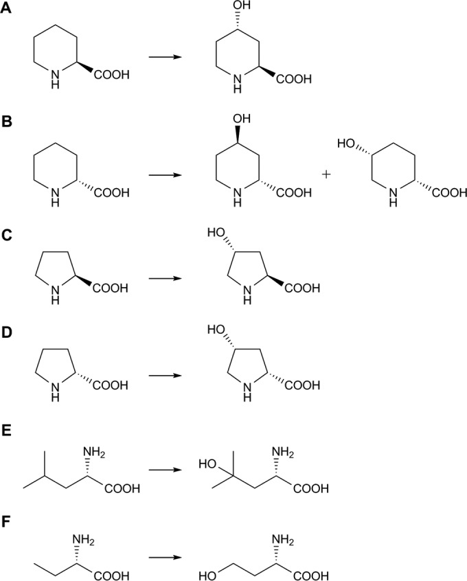 FIG 2