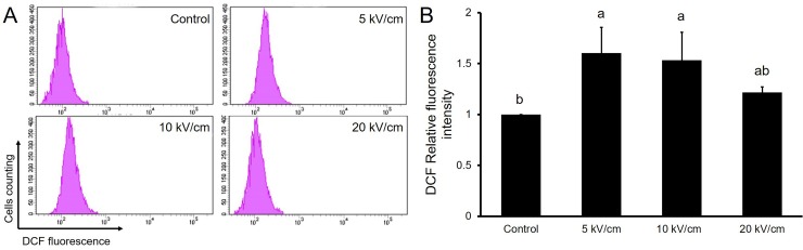 Fig 5