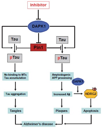 Fig. (3)