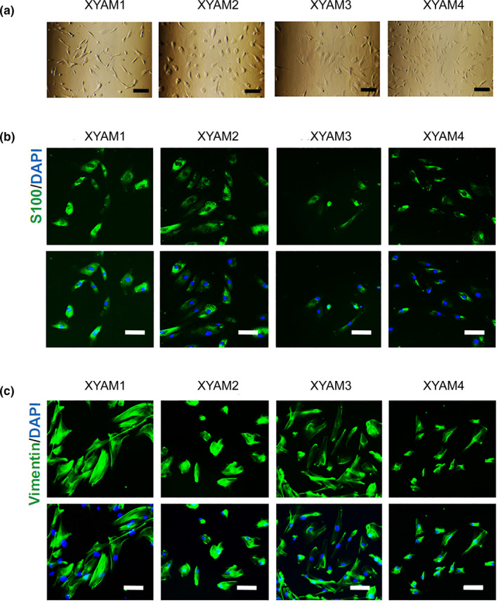 FIGURE 2