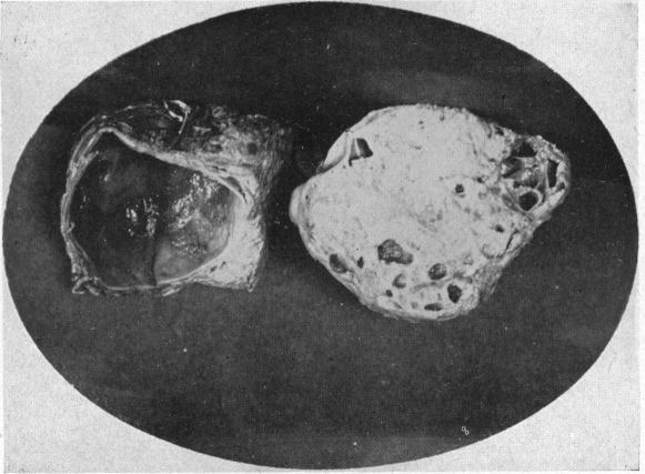 FIG. 5.