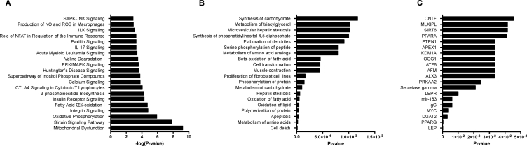 Figure 4