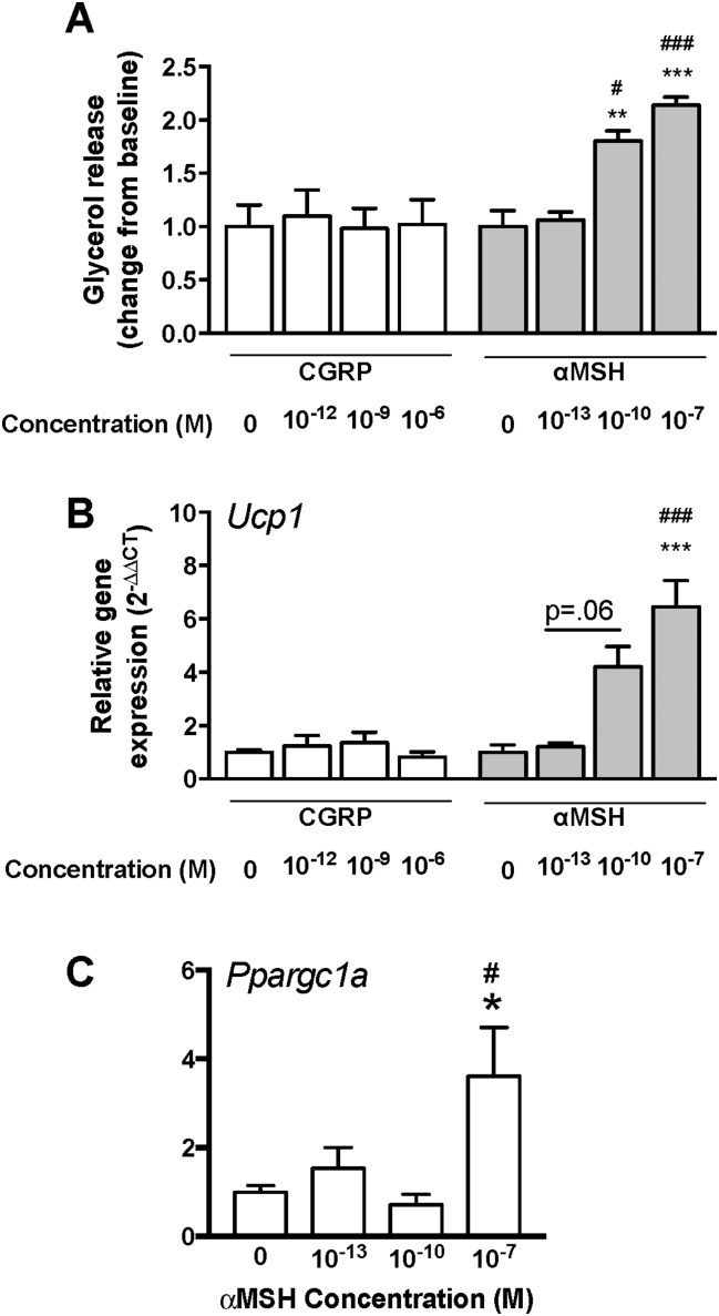 Figure 5