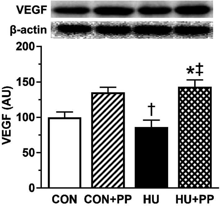 Fig. 6