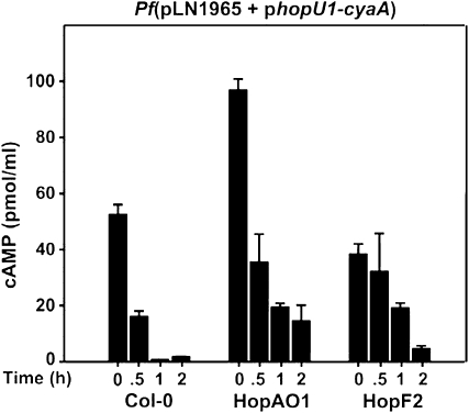 Figure 7.