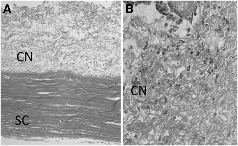 FIG. 5.