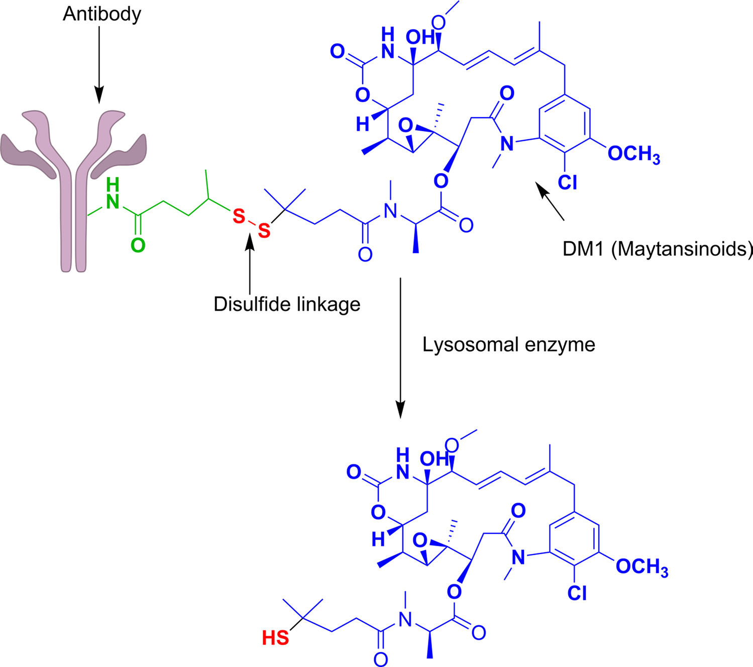 Fig. 4