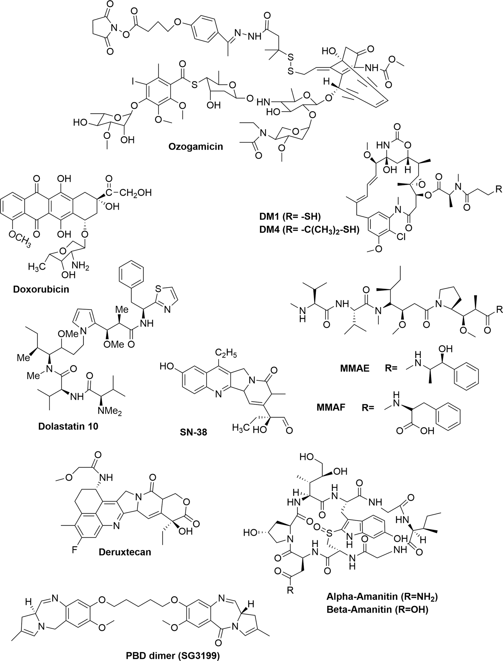 Fig. 7