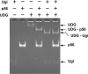 Figure 9.