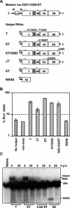 FIG. 8.