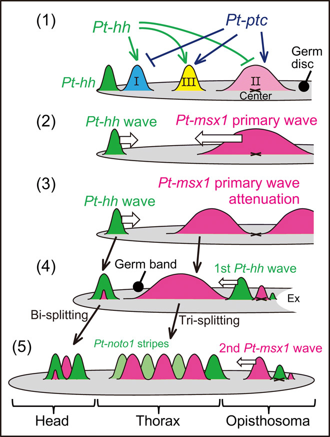 Fig. 10