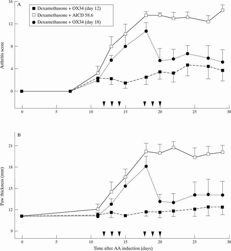 Figure 3  