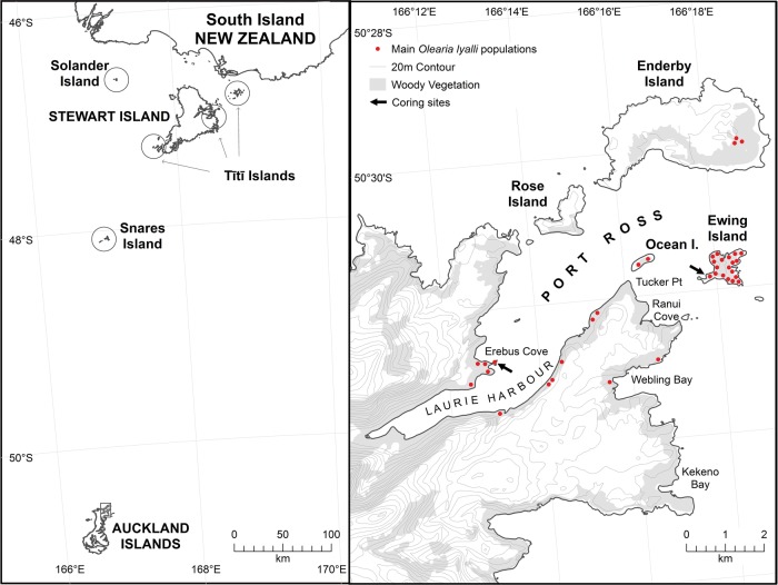 Figure 1.