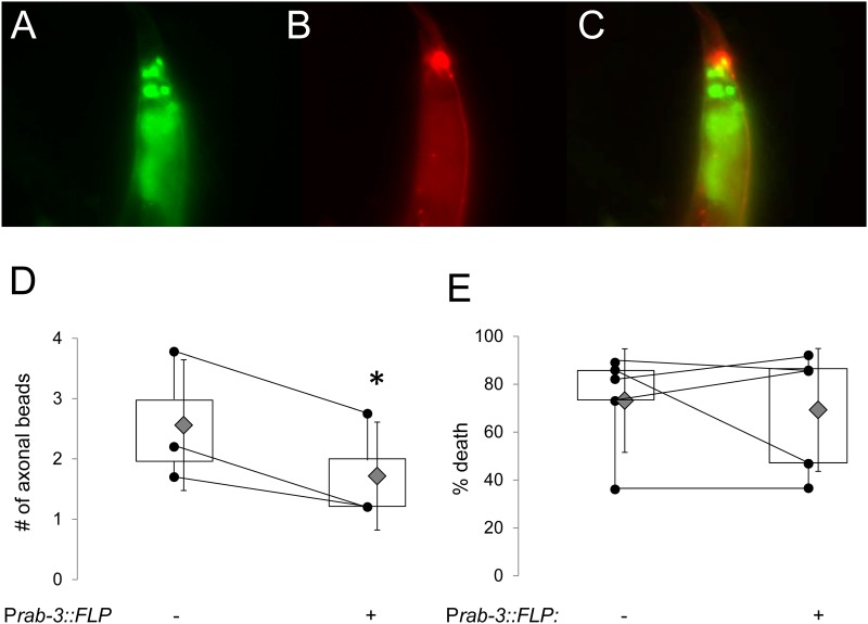 Fig 6