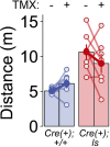 Figure 5—figure supplement 2.