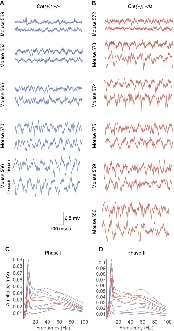 Figure 5—figure supplement 1.