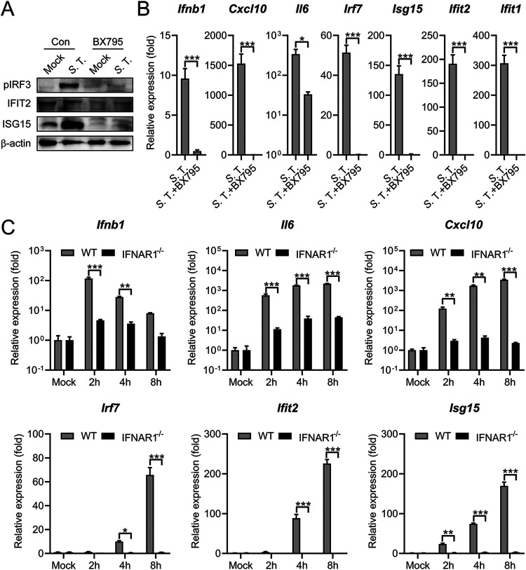 FIG 3