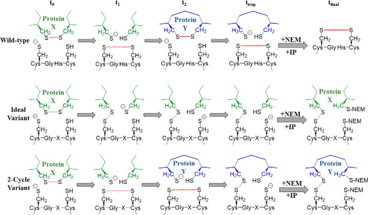 Figure 10.