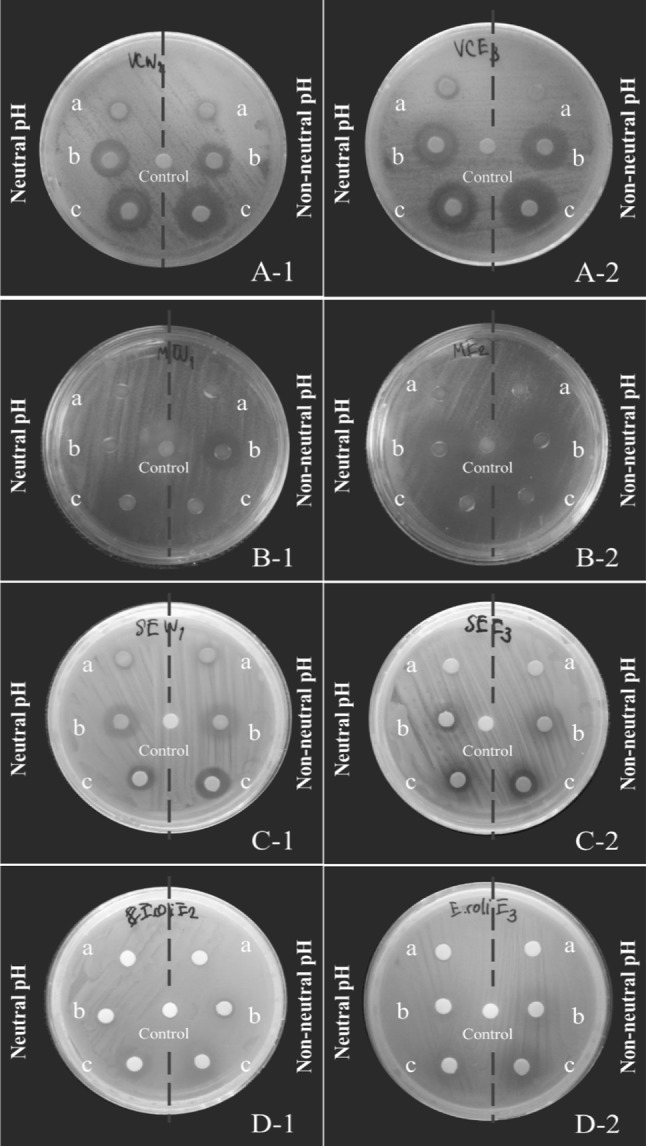 Fig. 4