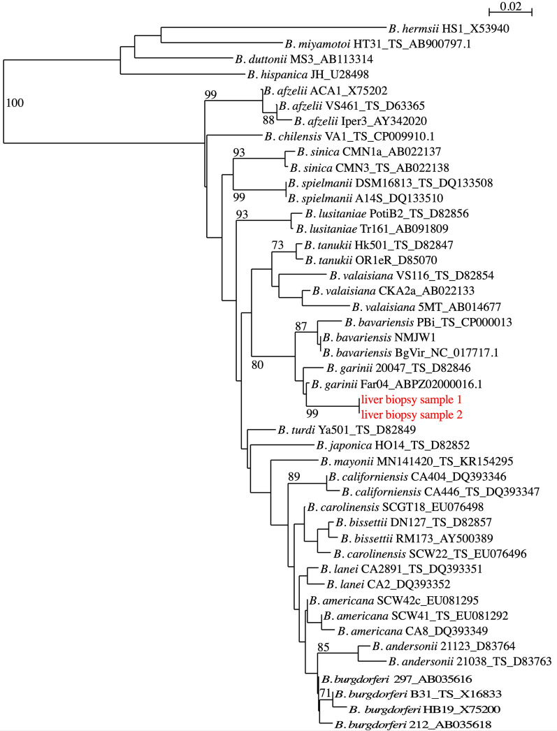 Fig. 2