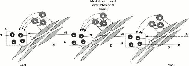 Figure 3  