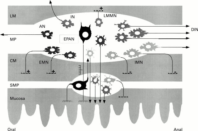 Figure 1  