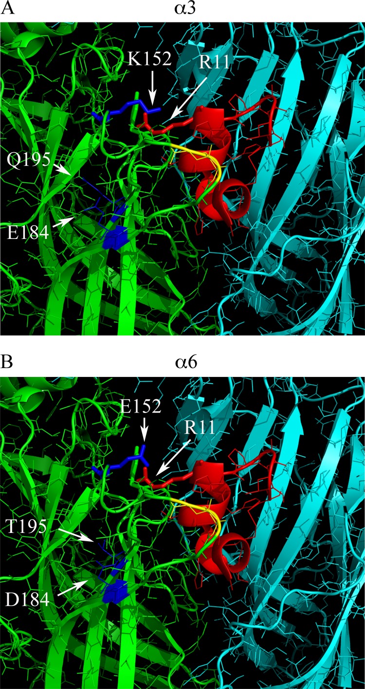 FIGURE 9.