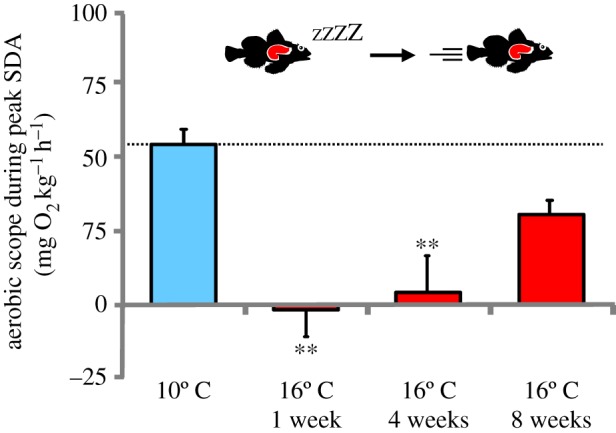 Figure 3.