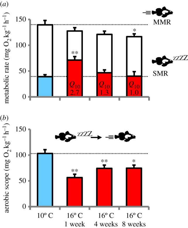 Figure 1.