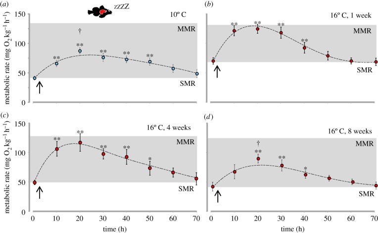 Figure 2.