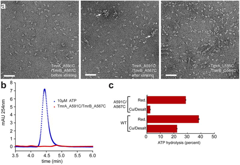 Extended Data Figure 9