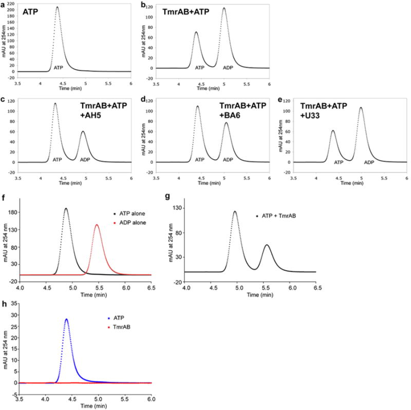Extended Data Figure 8