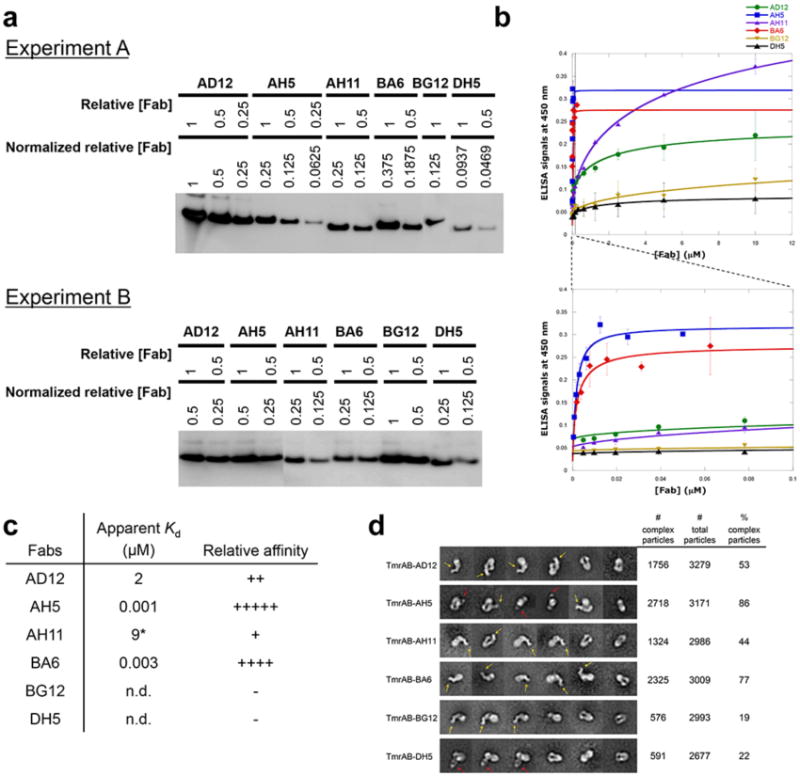 Extended Data Figure 1